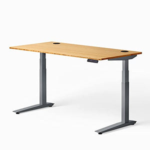 Fully Jarvis Standing Desk 48" x 30" Bamboo Top - Electric Adjustable Desk Height from 25.5" to 51" with Memory Preset Controller (Rectangle, Silver Frame)