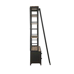 ACME Actaki Sandy Gray Bookshelf & Ladder