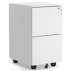 ModernLuxe 2 Drawer Locking File Cabinet with Wheels, Steel, White