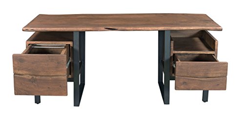 Treasure Trove Accents 17642 Writing Desk, Brown