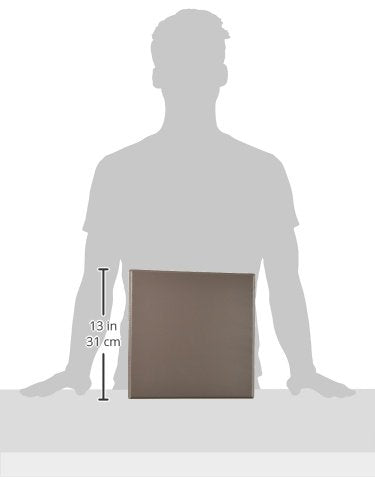 Avery Heavy-Duty View Binder with 2-Inch One Touch EZD Rings, Sand, 1 Binder (79333)