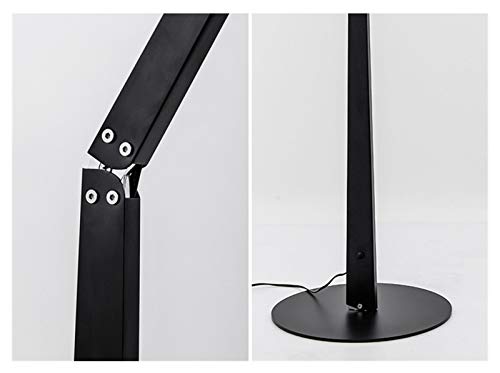 EESHHA Modern Nordic Designer Floor Lamp (Size: A)