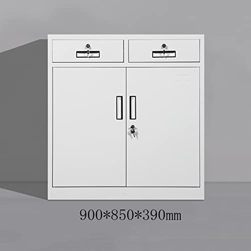 SUNESA File Cabinet with Lock Data Tool Storage - 1 Size