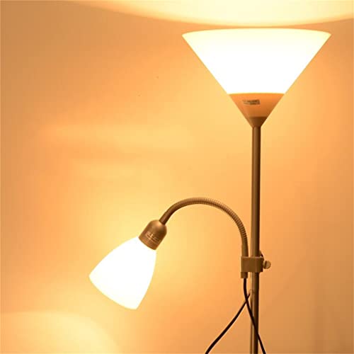 Double Headlamp LED Remote Control Nordic Floor Lamp