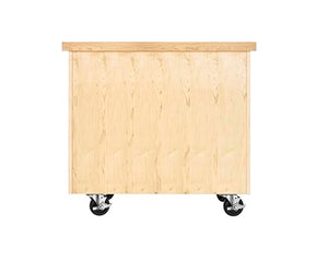 Diversified Woodcrafts Access Classroom Mobile Lab Cabinet, Maple