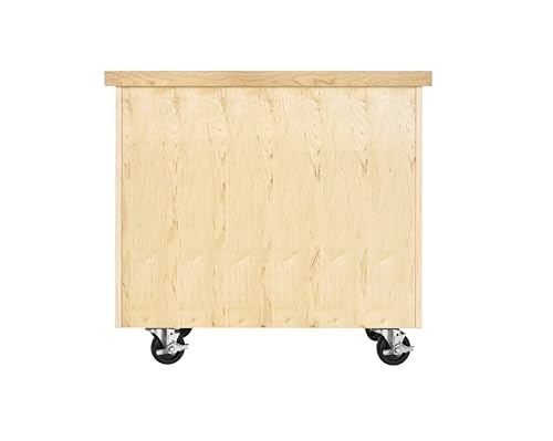 Diversified Woodcrafts Access Classroom Mobile Lab Cabinet, Maple