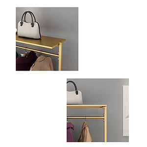BinOxy Free Standing Coat Rack Heavy Duty Multifunctional Shelf (Gold, Size L)
