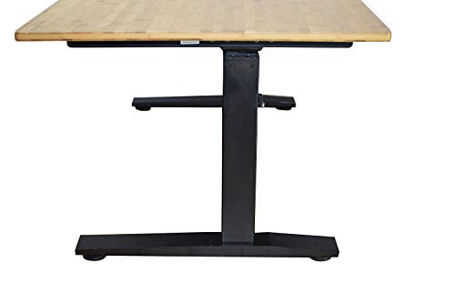 Rise UP Dual Motor Electric Bamboo Standing Desk 60x30" Desktop Tall Ergonomic Motorized Height Adjustable sit to Stand up Home Commercial Office Computer Workstation Modern Lift Raising with Memory