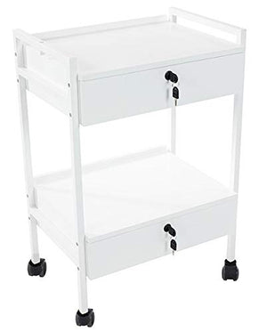 SKINACT Pro Medical Dental Mobile Utility Cabinet & Cart with Steel Frame and Two Drawer