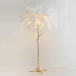 Generic Ostrich Feather Floor Lamp 1.6m Soft Light High Pole Lamp