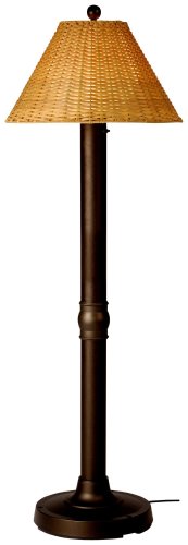 Tahitti 18207 Bronze 60-inch Floor Lamp with Antique Honey Shade