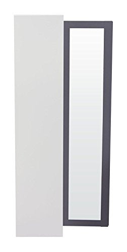 2 Door Bookcase