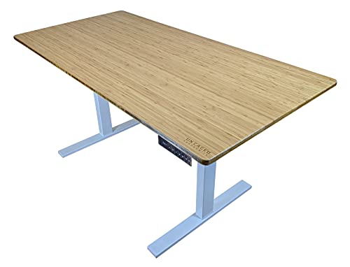Rise UP Dual Motor Electric Standing Desk 60x30" Bamboo Desktop Premium Ergonomic Adjustable Height sit Stand up Home Office Computer Desk Table Motorized Powered Modern Furniture Small Standup