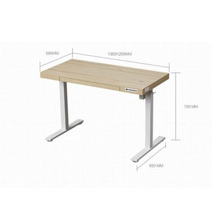 SanzIa Electric Standing Desk with Drawers, USB, 3 Memory Presets, Single Motor Sit Stand Desk - Office/Home Workstation