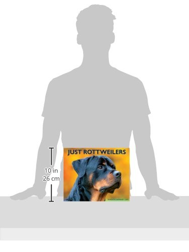Just Rottweilers 18-Month 2015 Calendar (Just (Willow Creek))