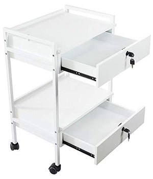 SKINACT Pro Medical Dental Mobile Utility Cabinet & Cart with Steel Frame and Two Drawer