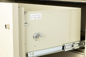 PHOENIX SAFE INTERNATIONAL LLC Vertical 31" 4-Drawer Letter Fireproof File Cabinet with Key Lock, Water Seal - Putty LTR4W31P