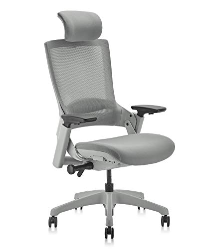 CLATINA Ergonomic High Swivel Executive Chair with Adjustable Height Headrest, 3D Armrest, Lumbar Support, Gray Mesh/High Back