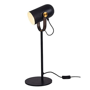 None LED Metal Desk Lamp, Adjustable Goose Neck Table Lamp for Bedroom, Study Room and Office