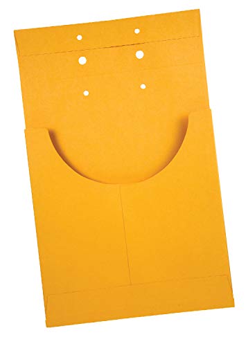 Quality Park Record Retention/Classification Jacket, 9 x 13.75 Inches, 100 Count Box, Kraft (E9400)