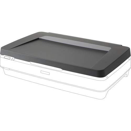Epson America B12b819221 Expr. 1200xl Transparency Unit
