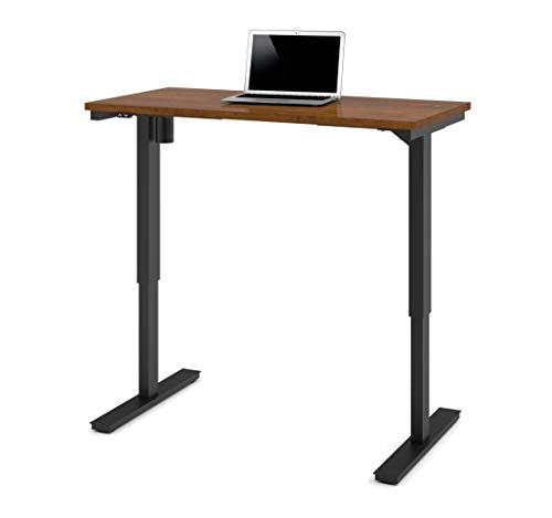 24“ x 48“ Standing Desk