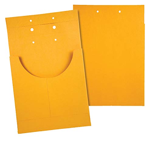 Quality Park Record Retention/Classification Jacket, 9 x 13.75 Inches, 100 Count Box, Kraft (E9400)