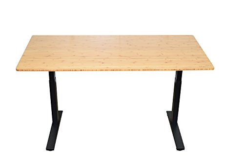 Rise UP Dual Motor Electric Bamboo Standing Desk 60x30" Desktop Tall Ergonomic Motorized Height Adjustable sit to Stand up Home Commercial Office Computer Workstation Modern Lift Raising with Memory