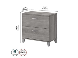 Bush Furniture Somerset 2-Drawer Lateral File Cabinet, Letter/Legal, Platinum Gray 30-Inch (WC81280)