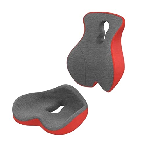 BUZZNN Memory Foam Seat Cushion & Lumbar Support Pillow for Office and Car Chair - Pain Relief Set