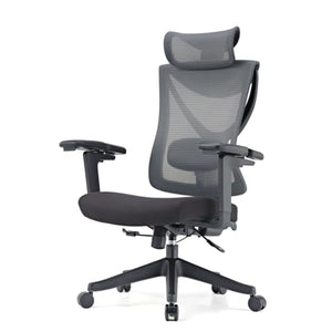 EUREKA ERGONOMIC Mesh Office Chair with 5D Adjustable Armrest and Wire Control Lumbar Support