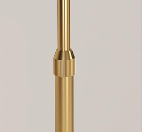MAXEZE Dimmable Metal Floor Lamp with Drawer and Reading Lamp - Coffee Table Decor Lighting (Gold)