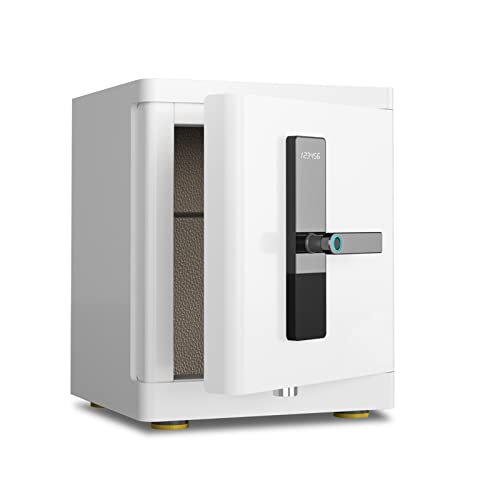 JTKDL Safe Box, Security Fingerprint Biometric Safe, Anti-Theft Cabinet Safe for Home Office, Secure Documents Jewelry Valuables