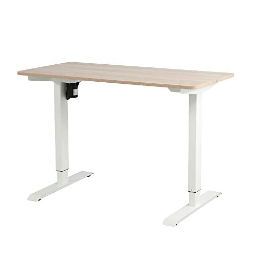 Noskatu Electric Height Adjustable Standing Desk, 48 x 24 inches Full Sit Stand Home Office Desk Workstation for Dual Monitors and Laptop (White Frame+Light Wood Top)