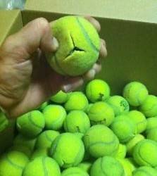 500 PreCut Tennis Balls (Bulk) For Chairs