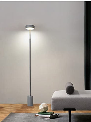 WAOCEO LED Floor Lamp 160cm Simple Style Standing Reading Lamps - B(Black)