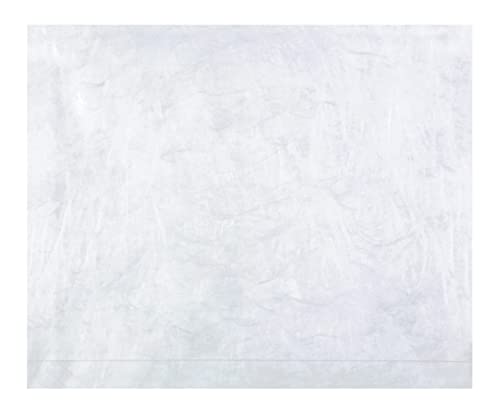 Survivor R4650 Tyvek Booklet Expansion Mailer, 12 x 16 x 2, White (Case of 100)