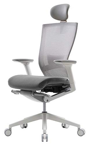 SIDIZ T50 Ergonomic Office Chair with Adjustable Headrest, Lumbar Support, 3D Armrest, Seat Depth - Gray