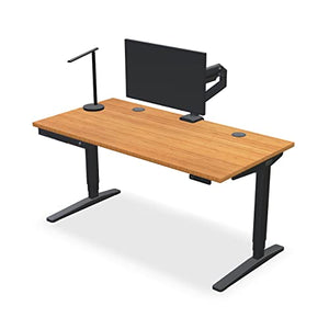 UPLIFTDESK Bamboo Standing Desk (80 x 30 inch) 2-Leg V2 C-Frame (Indus.)