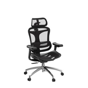 SIHOO Doro C300 Ergonomic Office Chair with 3D Armrests & Lumbar Support