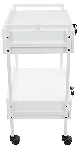 SKINACT Pro Medical Dental Mobile Utility Cabinet & Cart with Steel Frame and Two Drawer