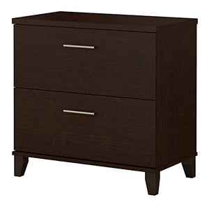 Bush Furniture Somerset 2 Drawer Lateral File Cabinet in Mocha Cherry | Home Office Document Storage