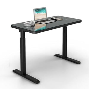 SanzIa Electric Height Adjustable Standing Desk with Memory Presets, USB Port, Child Lock - 220lbs Capacity (Color: B, Size: 115 * 59 * 71-117cm)
