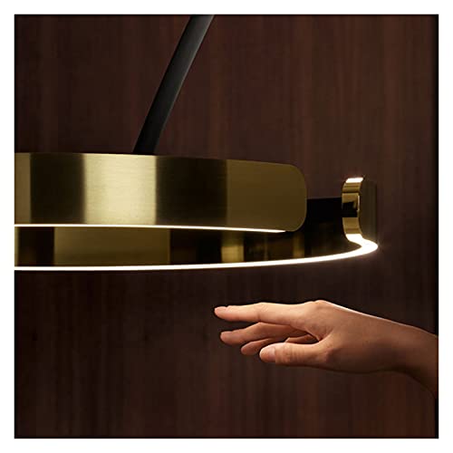 None Floor Lamp Large Luxury Fishing Lamp Alloy Lamp Shade LED Light Source Postmodern Floor Lamp
