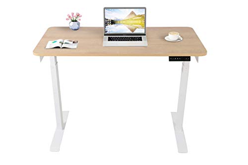 Electric Standing Desk,Adjustable Height Desk,Home Office Workstation Stand Up Desk for Small Space