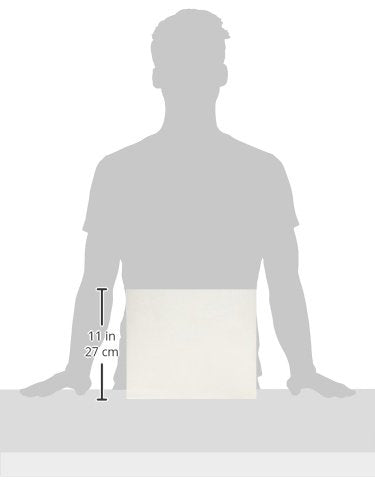 Survivor R4430 Tyvek Expansion Mailer, 10 x 13 x 2, White, 18lb (Case of 100)