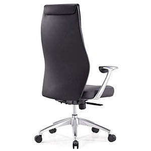 Zuri Furniture Modern Franklin Genuine Leather Executive Chair - Black