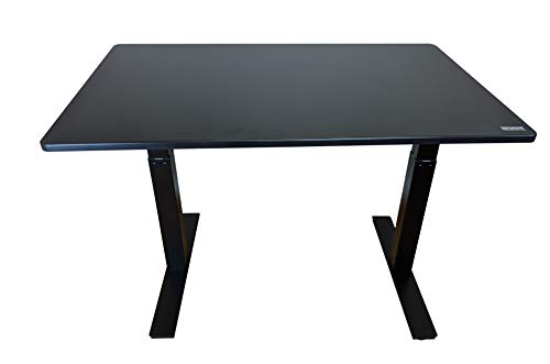 Rise UP Dual Motor Electric Standing Desk 48x30 Black Desktop Premium Ergonomic Adjustable Height sit Stand up Home Office Computer Desk Table Motorized Powered Modern Furniture Small Standup Table