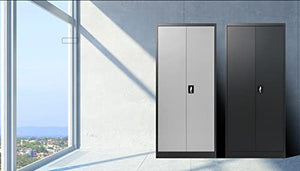 Generic Metal Storage Cabinet with 2 Doors and 4 Shelves, Lockable Steel - Grey