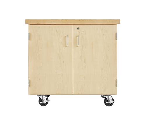 Diversified Woodcrafts Access Classroom Mobile Lab Cabinet, Maple